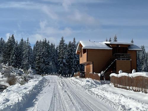Yablunytsya House | Котедж Краєвид