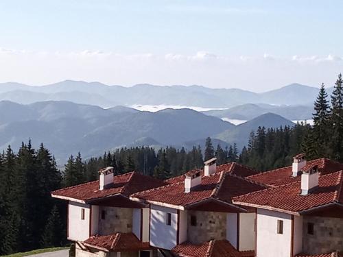 Pamporovo Apartment | Лъки 25