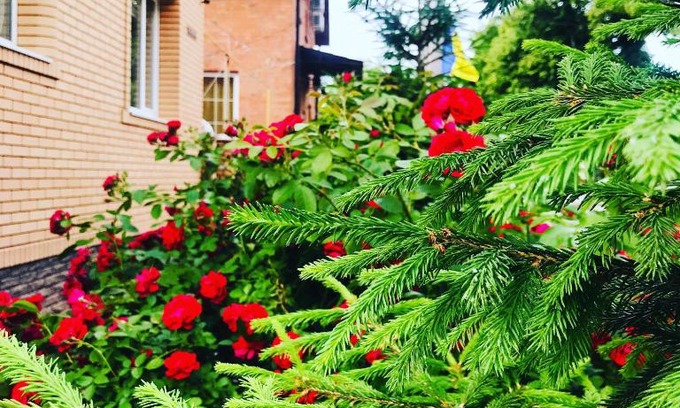 Sumy Bed & Breakfast | Міні-готель "Садиба"