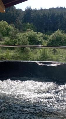 Velingrad Apartment | Сютка View Penthouse