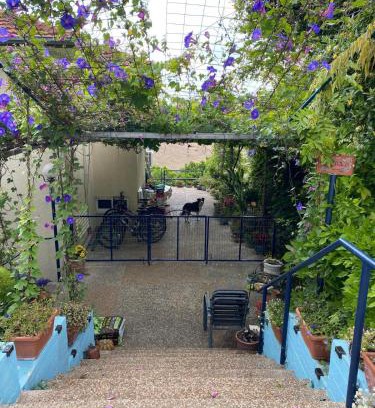 HaZore'a Apartment | המקום של אמי Emmys Place