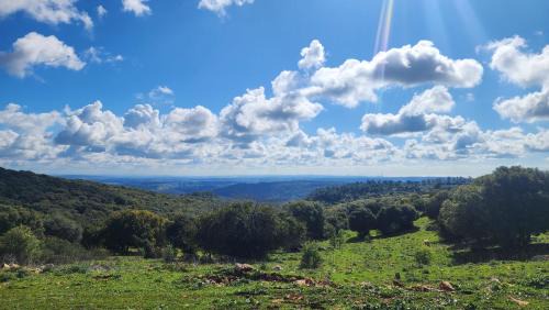 Daliyat al-Karmel Apartment | חאן בכרמל