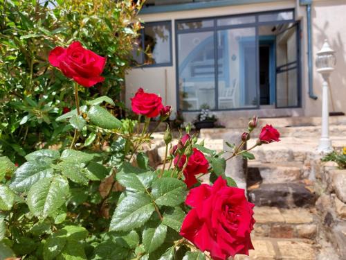 Rosh Pinna Apartment | פינה שקטה בראש פינה העתיקה Quite Corner in old Rosh-Pina