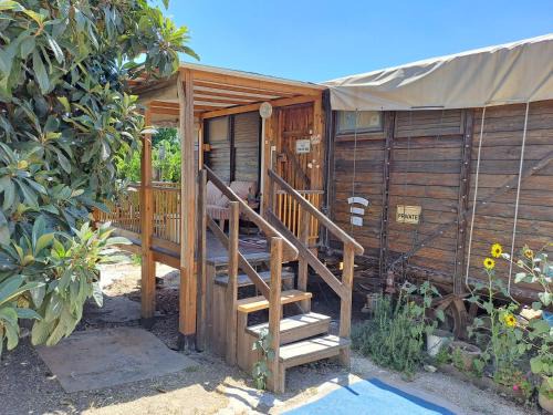 Tabash Bed & Breakfast | שבט אחים - Galilee Bedouin Camplodge - חווית אירוח ייחודית בטבאש
