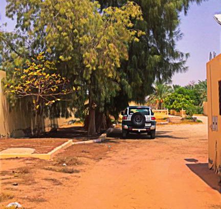 Bukayriah Ski Chalet | شاليه ام علي