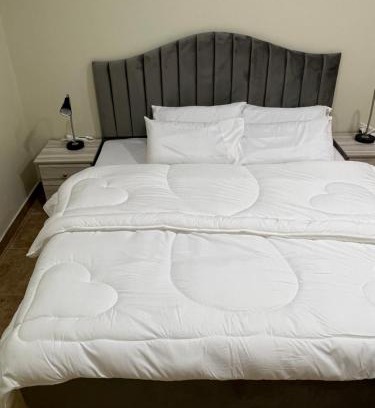 Buraydah Apartment | شقة فاخرة مدخل ذاتي