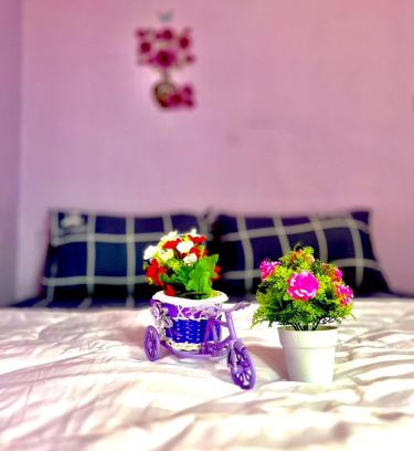 Ko Libong House | ลูกดกแน่โฮมสเตย์ ที่พักเกาะลิบง