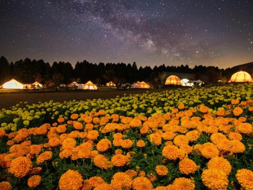 Taketa Other | くじゅう花公園 グランピングパーク花と星