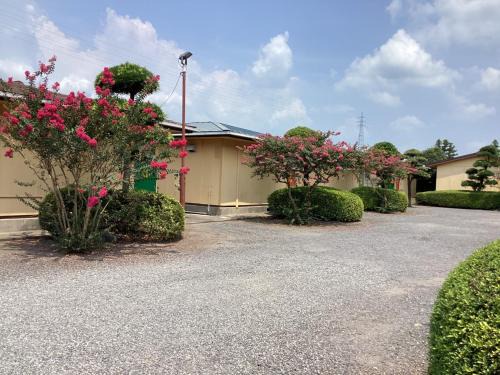 Kanoya Hotel | ホテルわかば