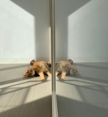 West Central District House | 台南包棟 好寿民宿 Koju貸切一軒家