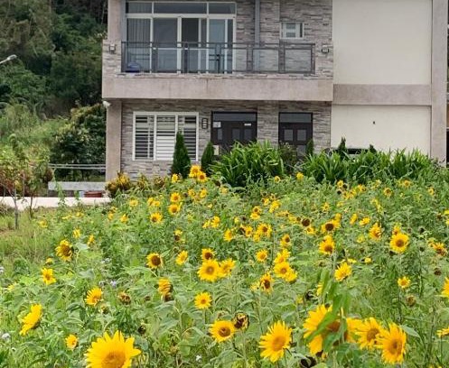 Chenggong House | 台東三仙台心悅民宿