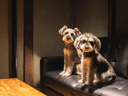 Matsue House | 松江日和 by HIYORISTAY