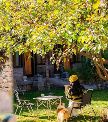 Shuhe Old Town House | 阅时 Adonis野生派 Black Bar 森林大院民宿