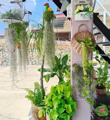 Kluang House | 阳台民宿 16 Terrace