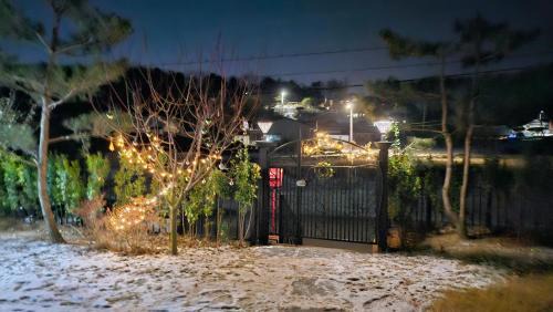 Ganghwa House | 강화펫비하우스