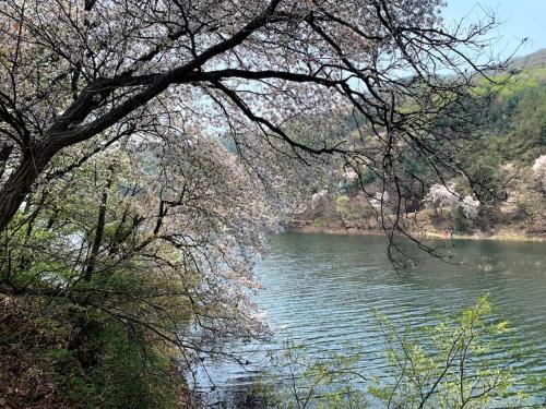 Anseong House | 미리내 호숫가 독채펜션