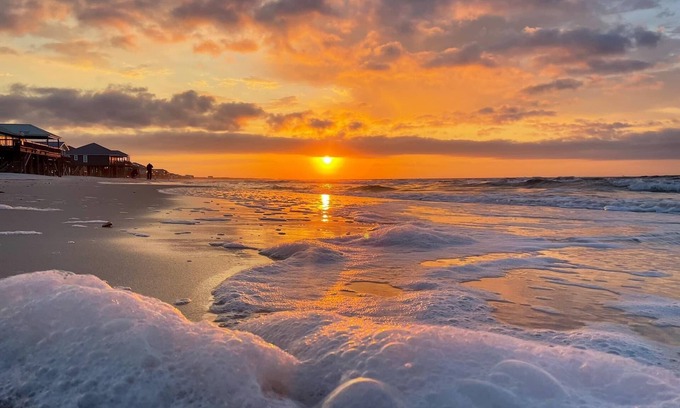 Dauphin Island Cottage | 1 Bedroom in the Pines~Dauphin Pod