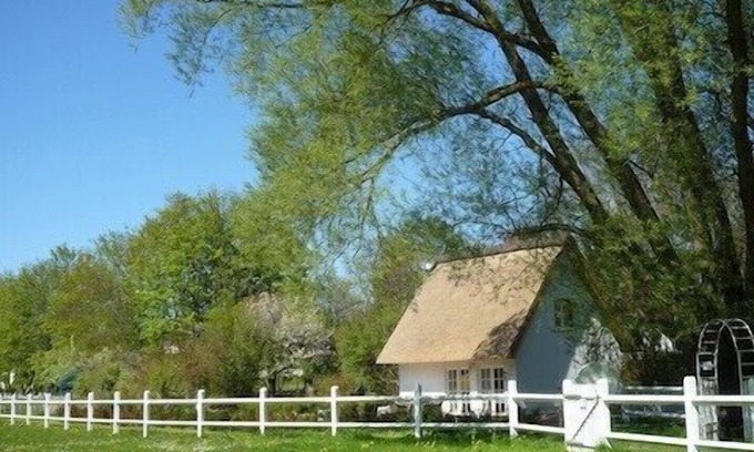 Klein Bollhagen House | 10 minutes from the beach, thatched house with spa: sauna & whirlpool