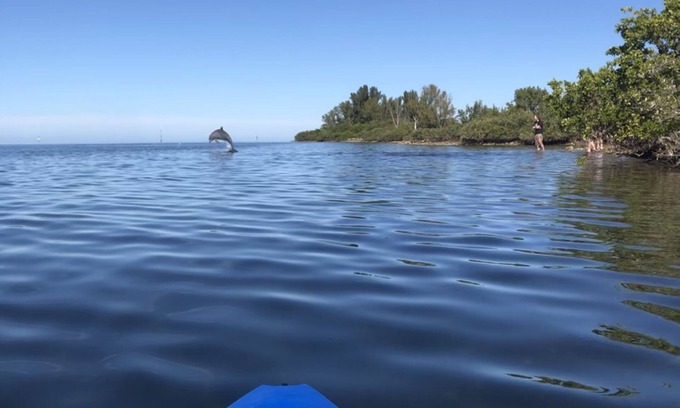 Pleasure Isles House | 100% Back Up And Running! Waterfront!