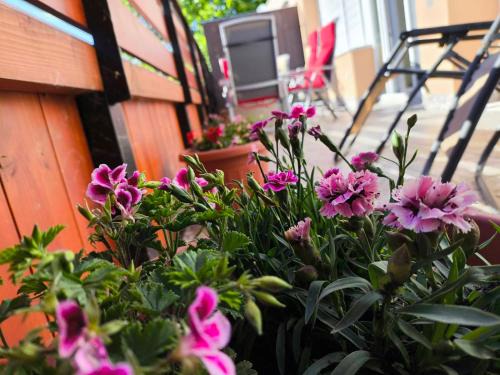 Harkany Apartment | 100 lépés - 100 steps - Apt with huge terrace next to the thermal bath