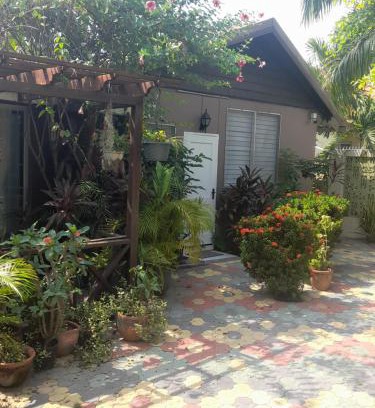 New Kingston Apartment | 11 Glenhope Avenue