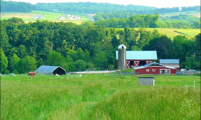 Sunbury House | 112-Acre Sheep Farm Guesthouse: Animals, Nature, Scenery