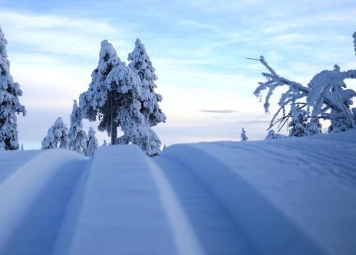 Ljordal House | 14 - Fulufjellets nasjonalparker - snø - alpint - langrenn - snøscooter
