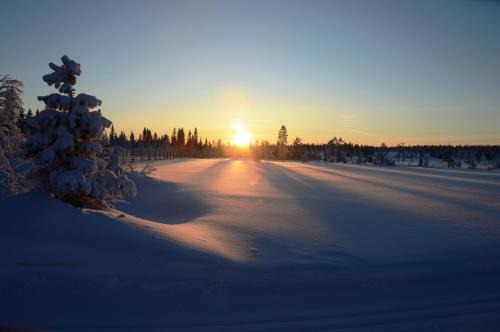 Ljordal Apartment | 16 - Fulufjellets nasjonalparker - snø - alpint - langrenn - snøscooter