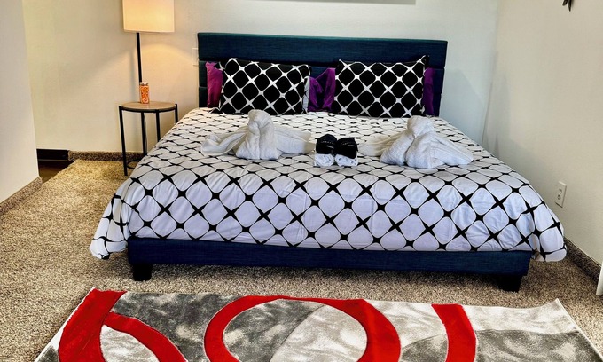 South Central Houston Apartment | 1Bedroom Studio NRG MDA Med UH Zoo DT Galleria KgBD Pool WiFi 4KTV