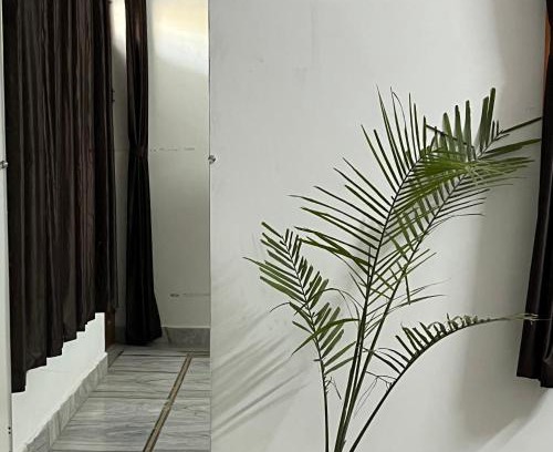 Jaipur House | 1BHK Villa In Jaipur