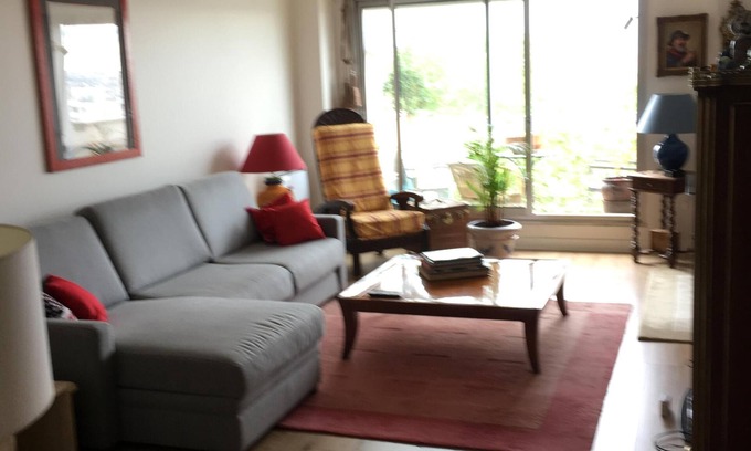 Combat House | 2-room apartment on a high floor overlooking all of Paris with sunny balcony. Buttes Chaumont