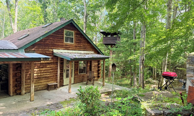Craig Creek Cabin | 3 BR Log Cabin & 14 acres of private forest; short drive from New Castle and AT