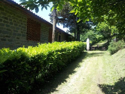 Castelfranco di Sopra Apartment | 3 rooms flat in a green Tuscany valley