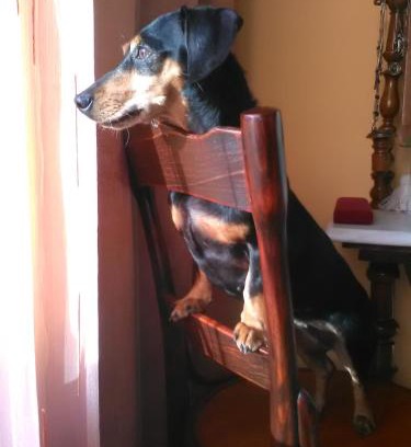 Gyula Apartment | 4 Évszak Apartman