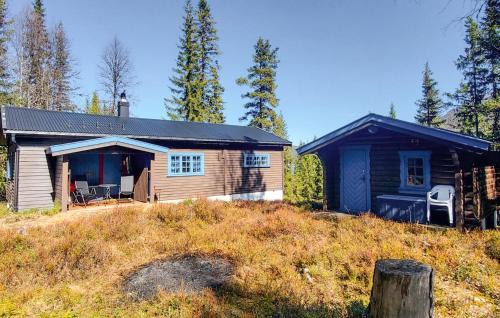 Nore og Uvdal House | 4 Bedroom Amazing Home In Rødberg