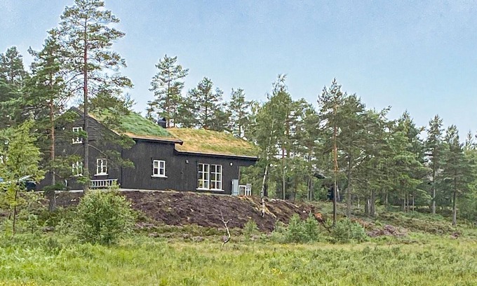 Nissedal House | 4 bedroom nice home in åmli