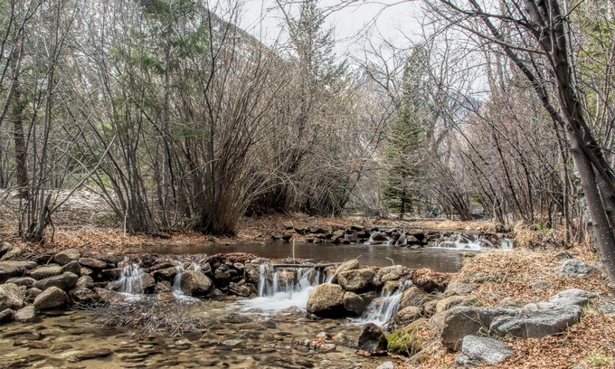 Nathrop Cabin | 4 BR/4BA En suite Cozy Creekside ~ Mountain Views ~ Hot Tub ~ Fishing ~ Wildlife
