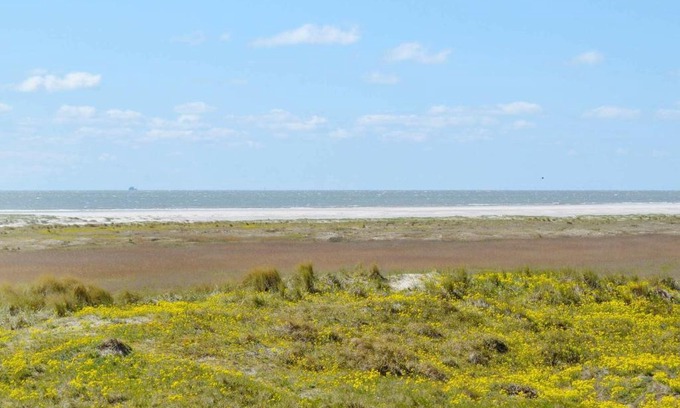 Rindby Strand Apartment | 4 person holiday home in Fan