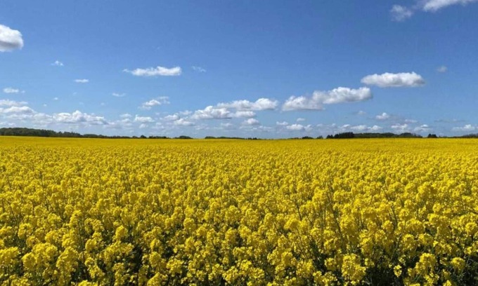 Skibby House | 6 person holiday home in Skibby-By Traum