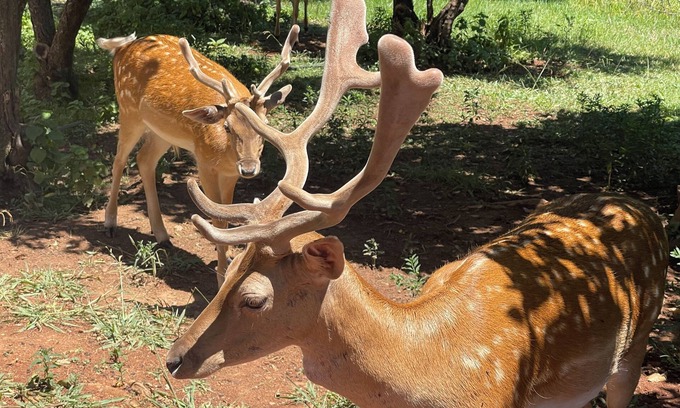 Pretoria Cottage | 63 On Saal Accommodation - Peaceful in Nature - STABLES