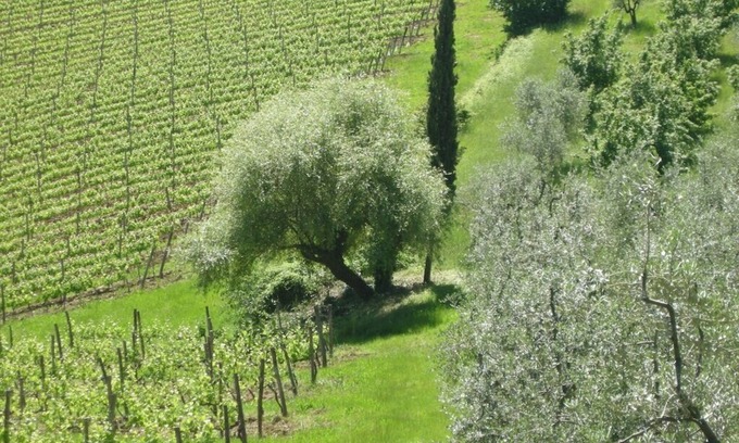 San Casciano in Val di Pesa Cottage | A Cosy Tuscan Villa, With Stunning Views On The Chianti Hills Near Florence