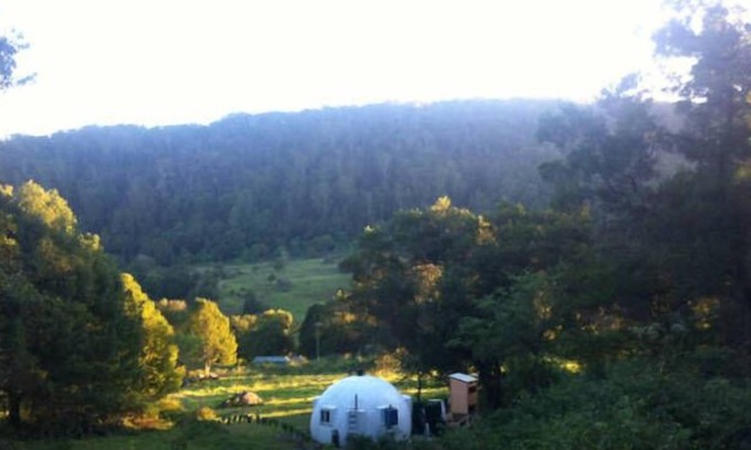 Wilsons Creek Cabin | A Dome Away from Home - Rainforest Valley near Mullumbimby