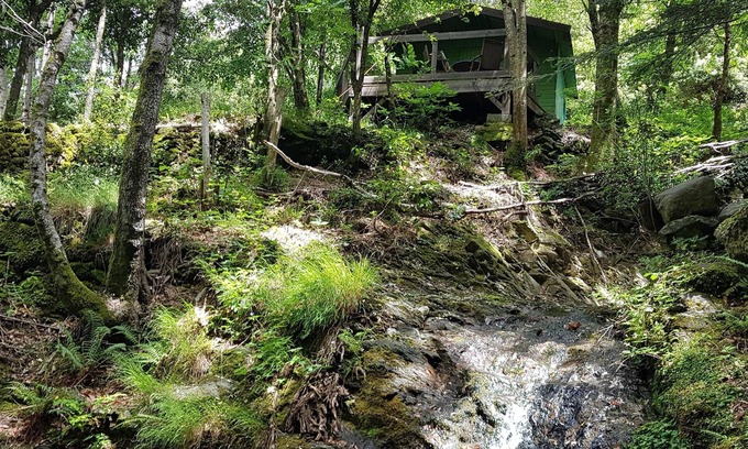 St Gervais sur Mare Cabin | a hidden hut with a terrace overlooking the forest