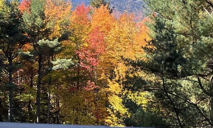 Wilmington Ski Chalet | A Mountain View Chalet - Whiteface - Lake Placid
