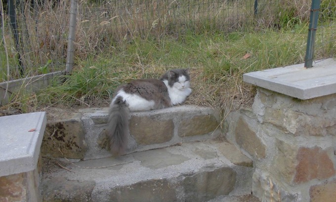 Bivio Lugnano House | A quiet place in Umbria