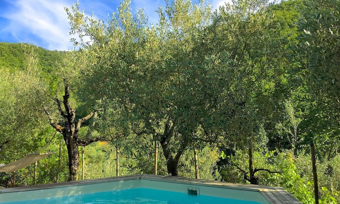 Toppole Villa | A tuscan house in the middle of olive-trees