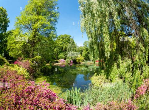 Park Royal Apartment | Absolutely Stunning 1BR flat, 20 min to the Centre