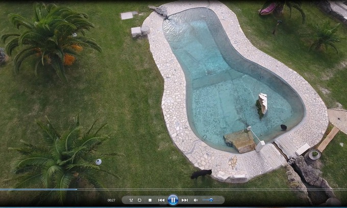 Canino House | Acqua Calda Vulcanica Solis Ortus CasaDaniele