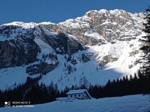 Comelico Superiore Bed & Breakfast | Affitta Camere Da Annarè