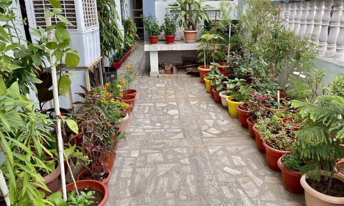 Bharatpur Hotel | Affordable and Combatable stay in the heart of city with nearby site seeing.